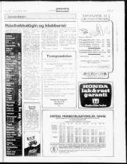 Síða 19