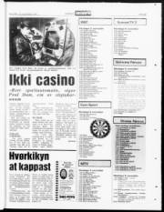 Síða 23