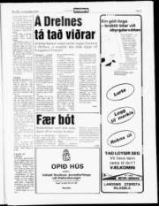 Síða 5
