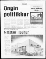Síða 6
