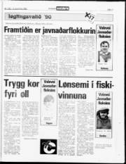 Síða 17