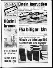 Síða 1