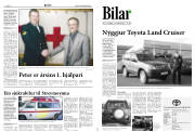 Síða 8