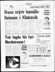 Síða 14