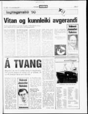Síða 17