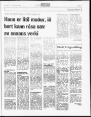 Síða 19