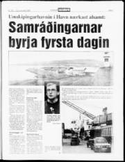 Síða 3