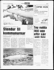 Síða 7