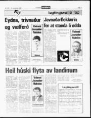 Síða 11