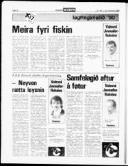 Síða 12