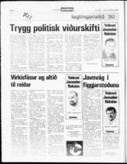 Síða 8