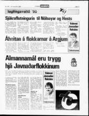 Síða 13