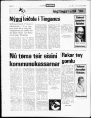 Síða 14