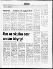 Síða 17