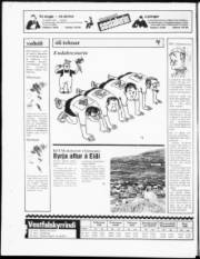 Síða 24
