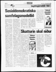 Síða 15