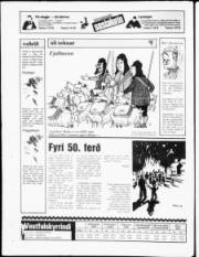 Síða 25