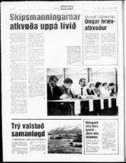 Síða 6