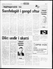 Síða 17