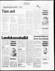 Síða 19