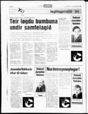 Síða 20