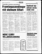 Síða 5