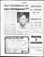 Síða 6