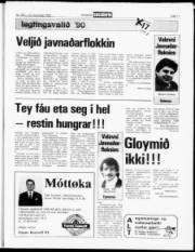 Síða 11