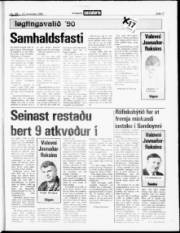 Síða 17