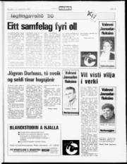 Síða 19