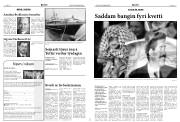 Síða 7