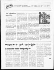 Síða 2