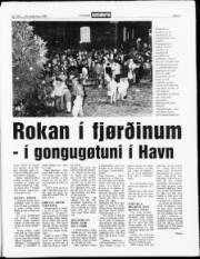 Síða 3