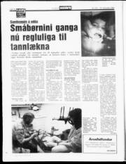 Síða 13