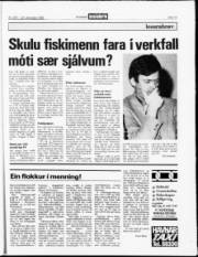 Síða 14