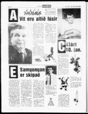 Síða 15