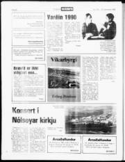 Síða 19