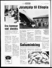 Síða 4
