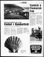 Síða 6