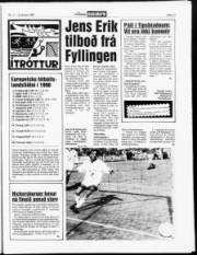 Síða 11