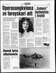 Síða 3