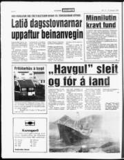 Síða 4