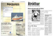 Síða 12