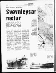 Síða 6