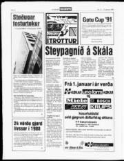 Síða 8