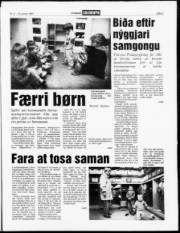 Síða 3
