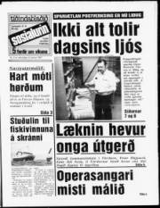Síða 1