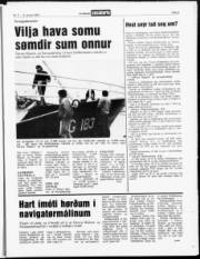 Síða 3