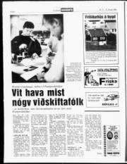 Síða 6
