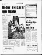 Síða 9